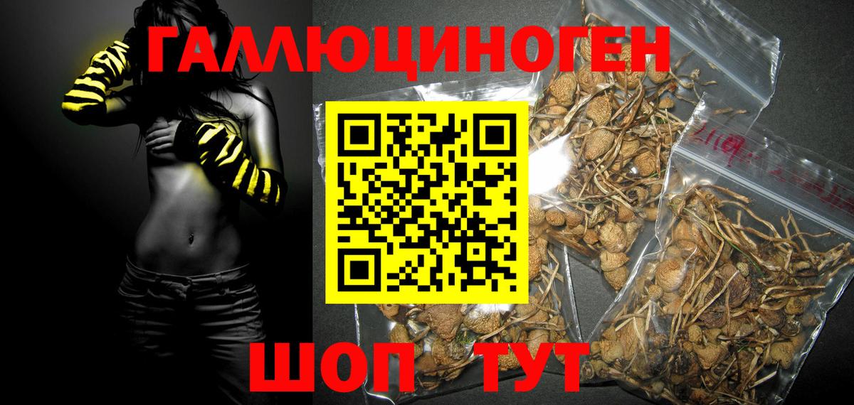 Галлюциногенные грибы мухоморы  Вход с VPN  Кувандык  что такое   Псилоцибиновые грибы GOLDEN TEACHER 